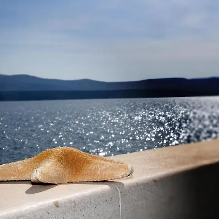 Appartamento Apartments Amore