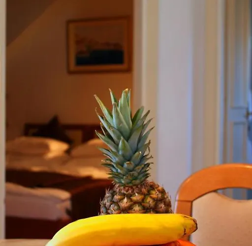 Apartments Amore Bol
